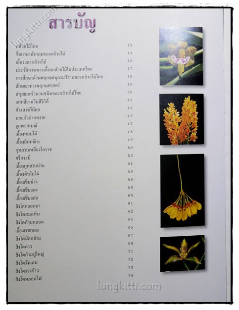สวนพฤกษศาสตร์สมเด็จพระนางเจ้าสิริกิติ์ กล้วยไม้ไทย 3