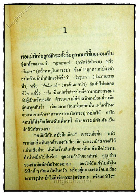 คนขี่เสือ/ ภวานีภัฏฏาจารย์ 4