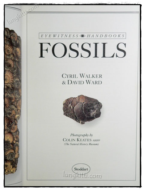 EYEWITNESS HANDBOOKS : FOSSILS 1
