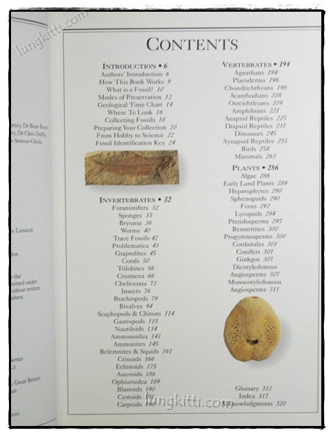 EYEWITNESS HANDBOOKS : FOSSILS 2
