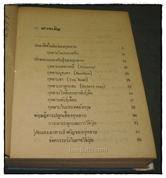 วิธีปลูกและผสมพันธุ์กุหลาบ 3