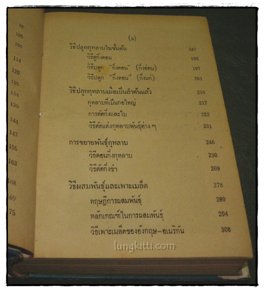 วิธีปลูกและผสมพันธุ์กุหลาบ 4