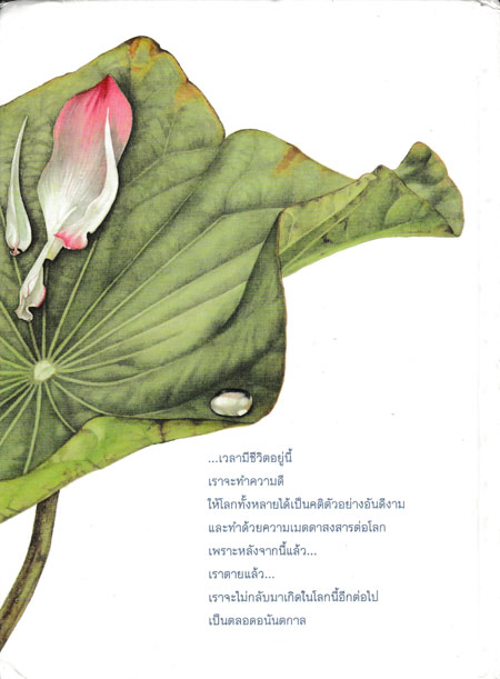 หยดน้ำบนใบบัว 1