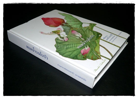 หยดน้ำบนใบบัว 9