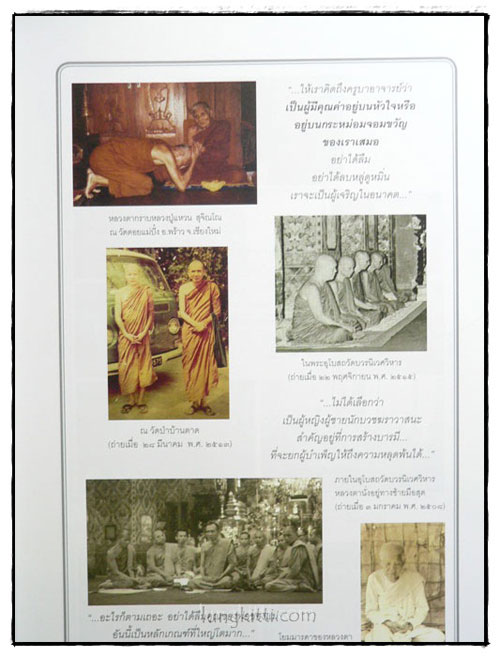 หยดน้ำบนใบบัว 5