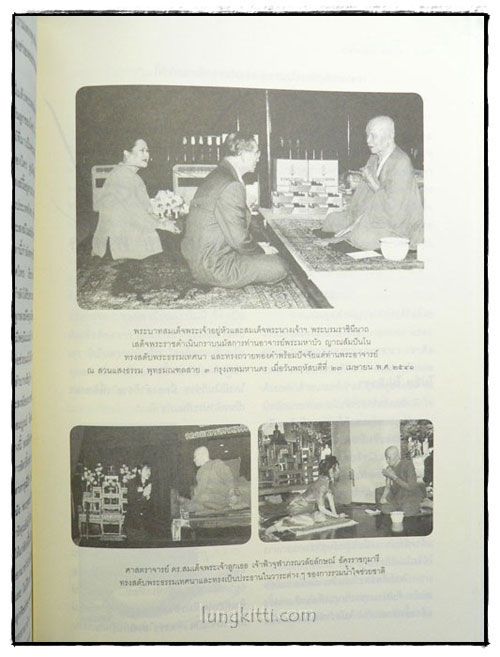 หยดน้ำบนใบบัว 8