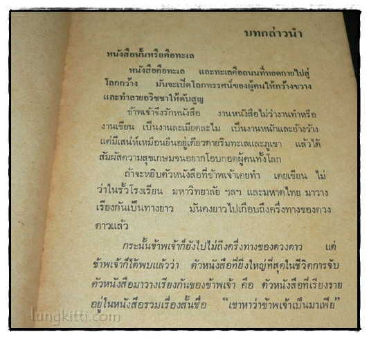 เขาหาว่าข้าพเจ้าเป็นมาเฟีย / ชลอวนะภูติ 3