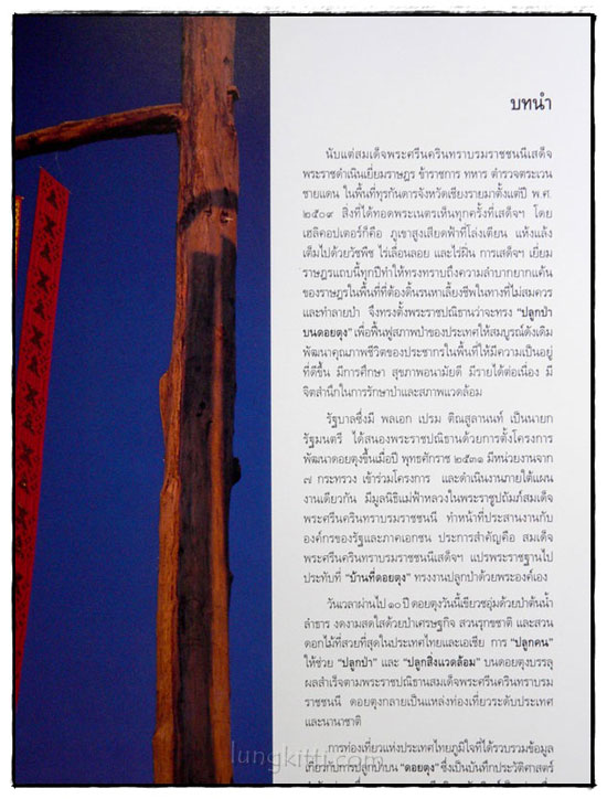 ดอยตุง 3