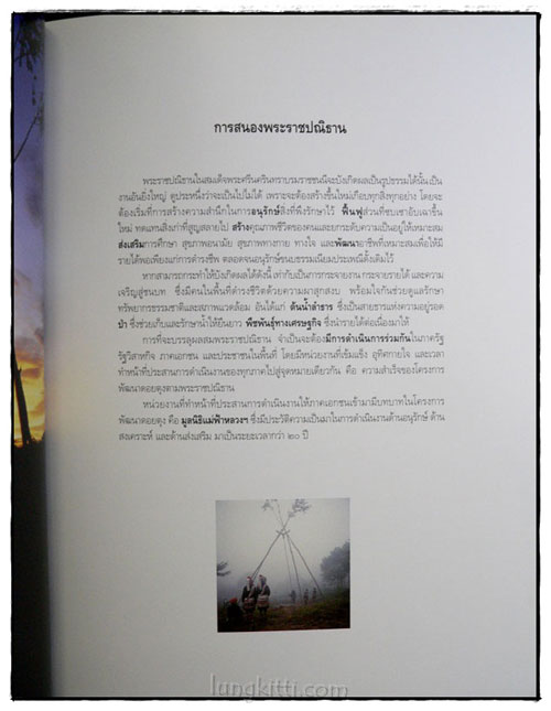 ดอยตุง 6