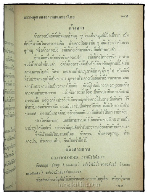 ไม้เทศ เมืองไทย / หมอเสงี่ยม พงษ์บุญรอด 7