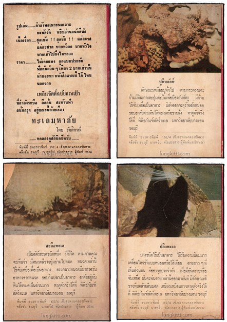 ป่ามหาภัย  ตอน ทะเลมหาภัย  (16 เล่มจบ)/ รัตติกรณ์ 1