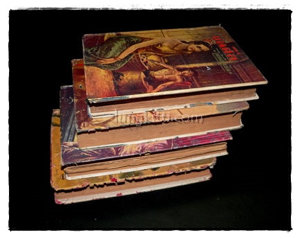 ขุนศึก (เล่ม 1, 3, 4, 9)/ ไม้เมืองเดิม 8