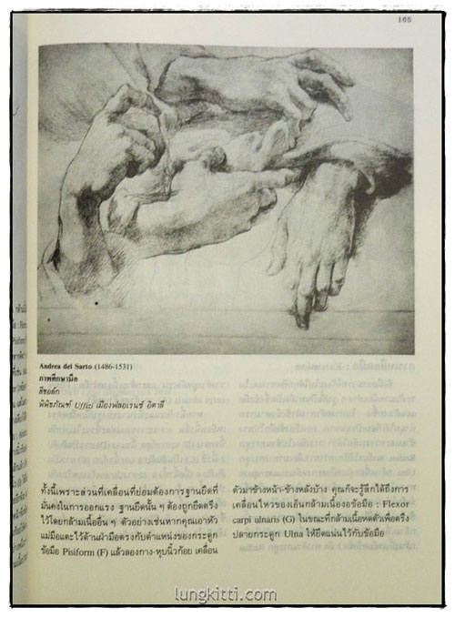 แบบเรียนกายวิภาคจากศิลปินเอก / นิวิต หะนนท์ 8