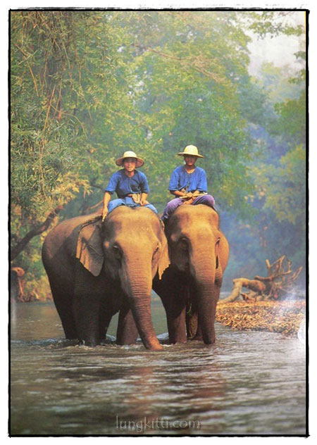 Exciting Thailand : A Visual Journey 4