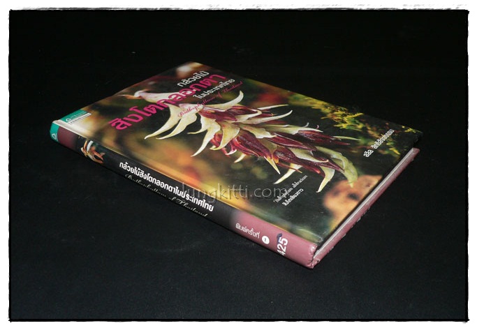 กล้วยไม้สิงโตกลอกตาในประเทศไทย / สลิล สิทธิสัจจธรรม 9