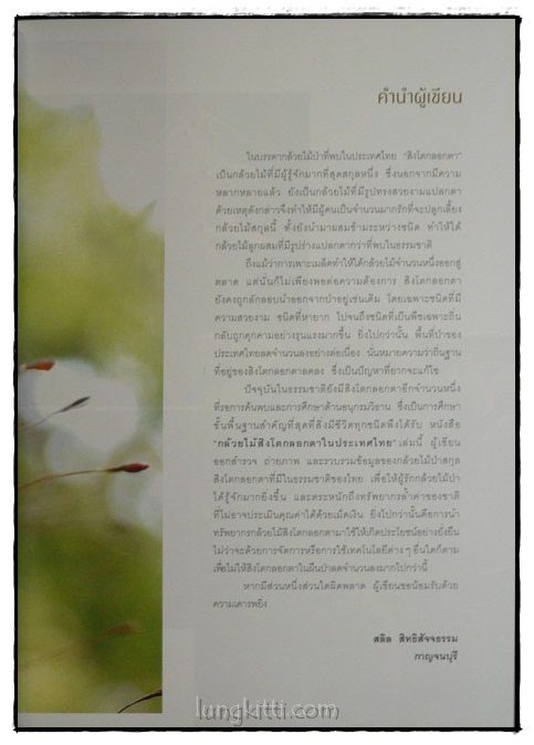 กล้วยไม้สิงโตกลอกตาในประเทศไทย / สลิล สิทธิสัจจธรรม 2