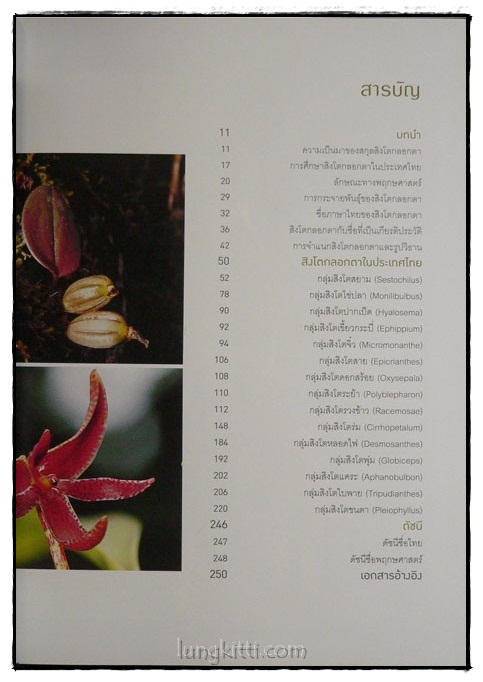 กล้วยไม้สิงโตกลอกตาในประเทศไทย / สลิล สิทธิสัจจธรรม 3