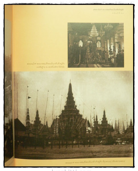 My Image 29