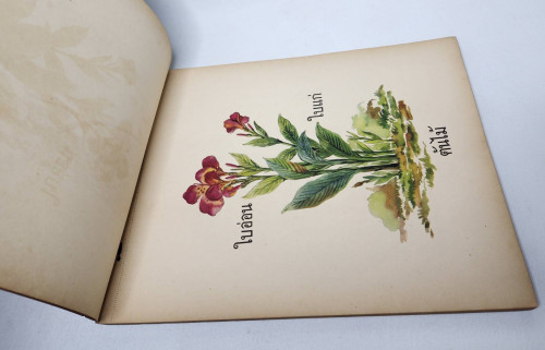 คู่มิอครูชั้นประถมศึกษาปีที่หนึ่ง ภาพผนัง สำหรับหนังสือ 