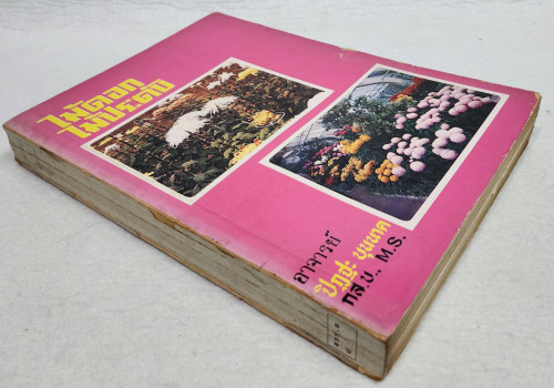 ไม้ดอก ไม้ประดับ / ปิฏฐะ บุนนาค 2