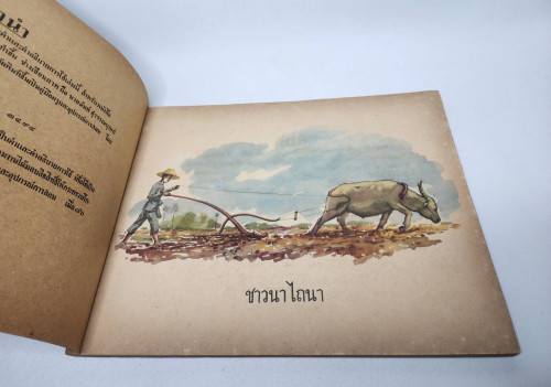 คู่มิอครูชั้นประถมศึกษาปีที่หนึ่ง ภาพผนัง สำหรับหนังสือ 