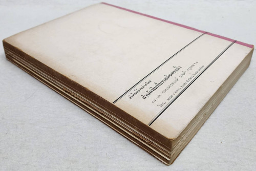 ไม้ดอก ไม้ประดับ / ปิฏฐะ บุนนาค 1