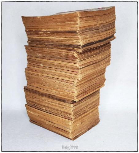 เศวตฉัตร น่านเจ้า(ไม่จบรวม 55 เล่ม) / ลพบุรี 6