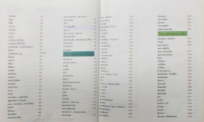 พรรณไม้ในงานภูมิสถาปัตยกรรม 3