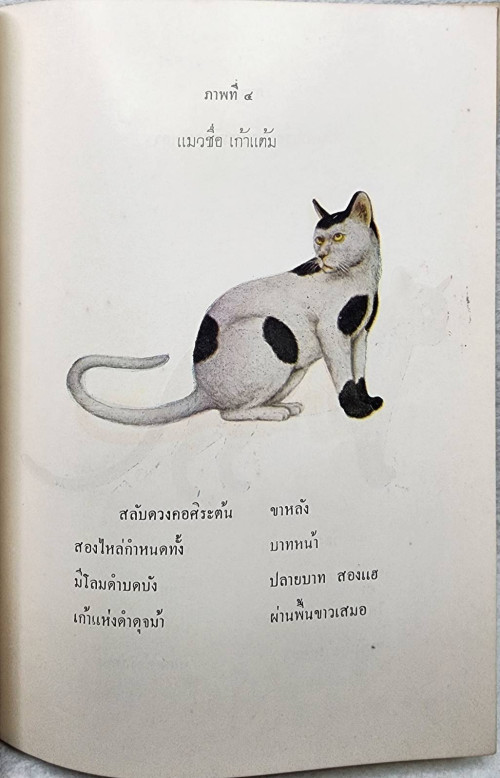 ตำราดูแมว กวนข้าวทิพย์ - พิธีพิรุณศาสตร์ และผลงานสมเด็จ 4