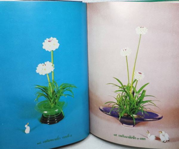 มะลิ สัญลักษณ์วันแม่ของไทย 6