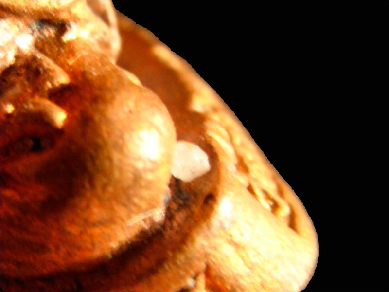 รูปหล่อหลวงพ่อสนิท เสาร์5 ปี36 เนื้อทองแดง 4