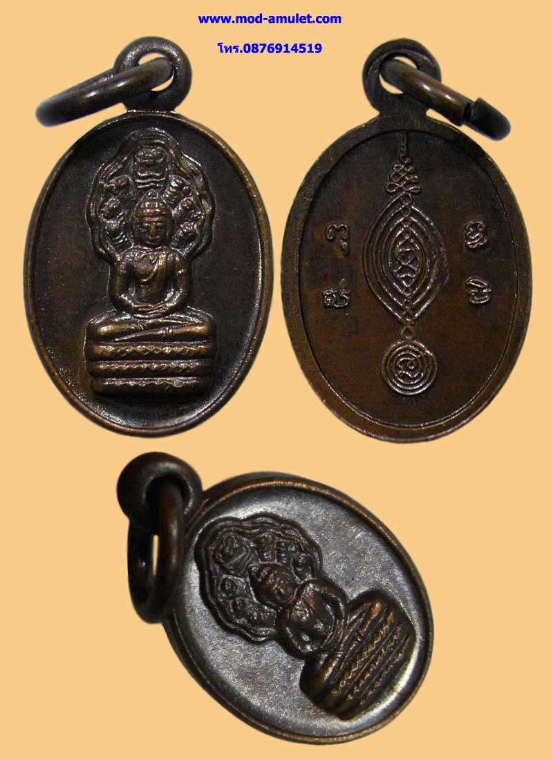 เหรียญปั๊มรูปไข่ พิมพ์พระนาคปรก (ขนาดเล็ก) ปี 2529 หลวงปู่ดู่ วัดสะแก