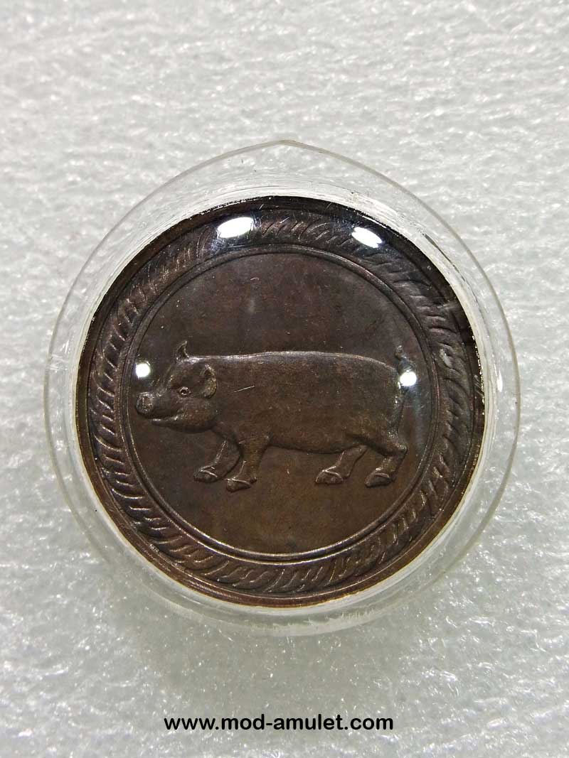 เหรียญนามปีกุลรุ่นแรกปี32นิยมเลข๕มีขีดบนล่าง(บล๊อคทองคำ)นิยมสุด