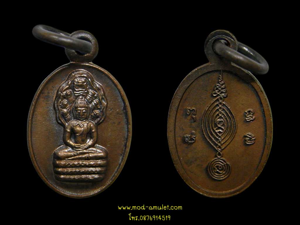 เหรียญปั๊มรูปไข่พระนาคปรก ปี2529 หลวงปู่ดู่ วัดสะแก (2)