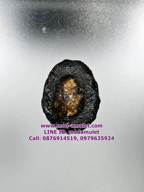 เบี้ยแก้พอกผงลงรัก(สีดำ) หลังพระมหาฤาษี หลวงปู่ละมัย (8) LP Lamai