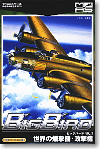 BigBird Vol.3 1/144