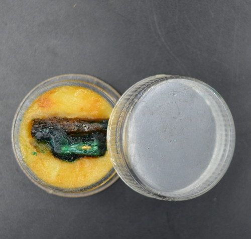 สีผึ้งสะโหมทอง  อาจารย์พรต สำนักปู่เสน่ห์โคบุตร 2557