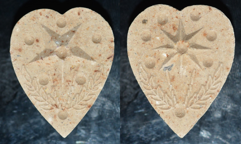 ดาว เนื้อว่าน หลวงพ่อเอิบ วัดหนองหม้อแกง 2555