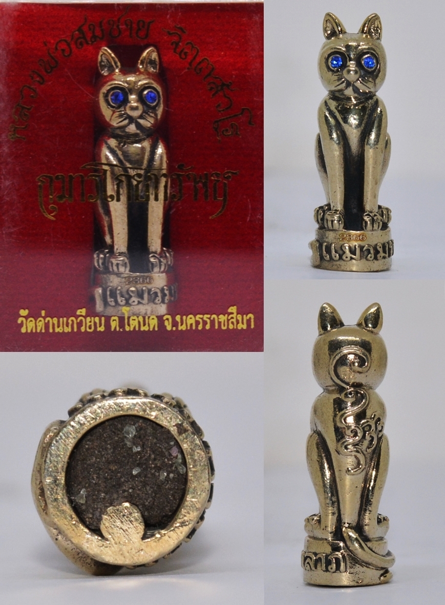 แมวมหาลาภ เนื้อทองขาว หลวงพ่อสมชาย วัดด่านเกวียน นครราชสีมา 2555