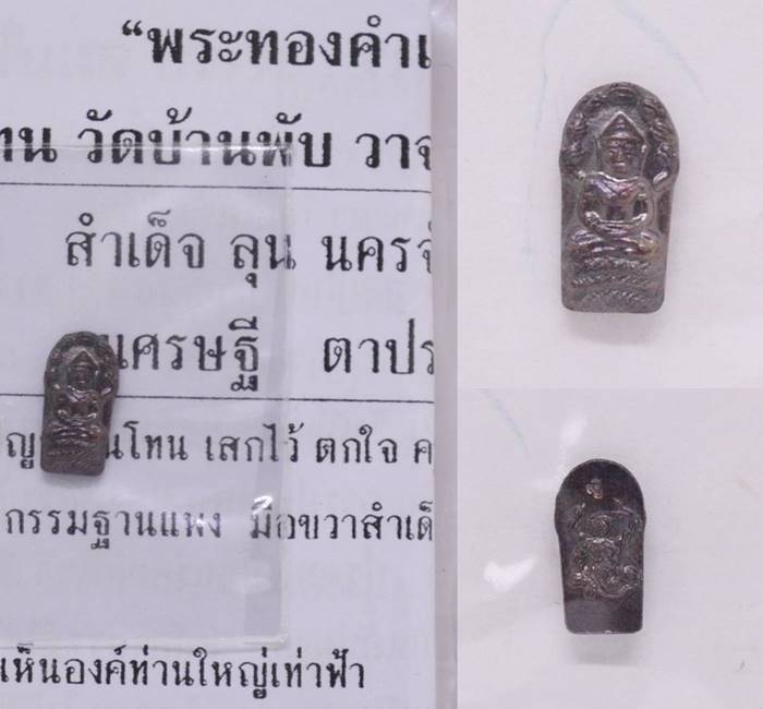 พระนาคปรกใบมะขาม เนื้อทองแดง  ญาท่านโทน วัดบ้านพับ 2556