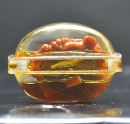 ฤาษีกะไลยโกฏิ ไม้ขนุนตายพราย พระอาจารย์ศุภสิทธิ์ วัดบางน้ำชน บุคคโล 2567 1