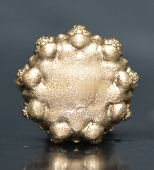 พระแม่ลักษมี เทพีแห่งความรัก เนื้อบรอนซ์น หลวงพ่อวิจิตร สำนักปฎิบัติธรรมพุทธบูชา 2568 1