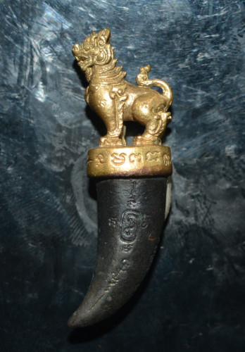 เขี้ยวสัมฤทธิ์ สิงห์มหาโชค มหาเศรษฐี วัดไตรมิตร 2559