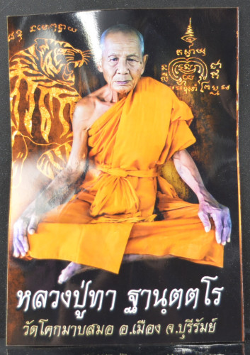 เสือเหลียวหลัง เนื้อสัมฤทธิ์ชุบทอง หลวงปู่ทา วัดโคกมาบสมอ 2567 3