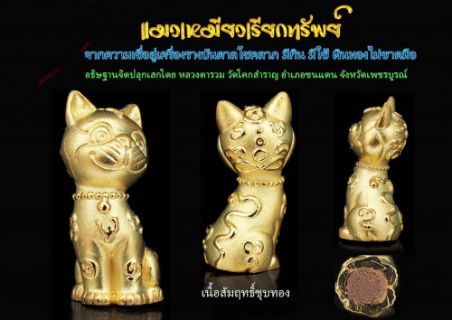 แมวเหมียวเรียกทรัพย์ เนื้อสัมฤทธิ์ชุบทอง หลวงตารวม วัดโคกสำราญ 2564  ใส่หลอดตะกรุด 3