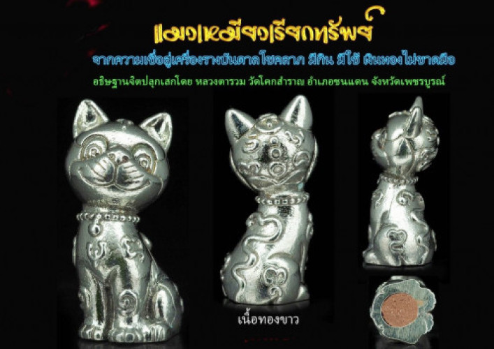 แมวเหมียวเรียกทรัพย์ เนื้อทองขาว หลวงตารวม วัดโคกสำราญ 2564 ใส่หลอดตะกรุด 3