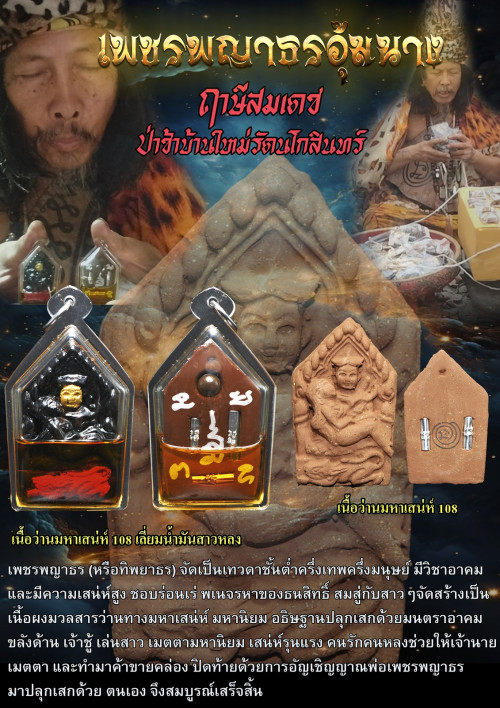 เพชรพญาธรอุ้มนาง  ฤาษีสมเดช (ครูบาเดช) ป่าช้าบ้านรัตนโกสินทร์ 2569 1