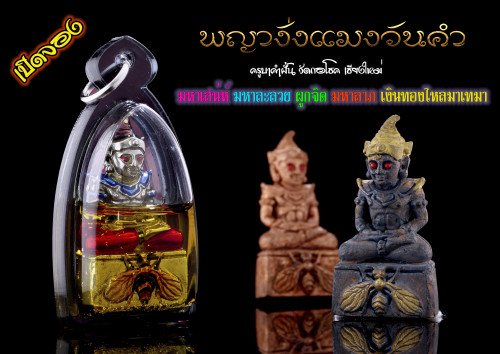 preorder เ ปิ ด รั บ จ อ ง พญางั่งแมงวันคำ ครูบาคำฝั้น วัดกอโชค จ.เชียงใหม่