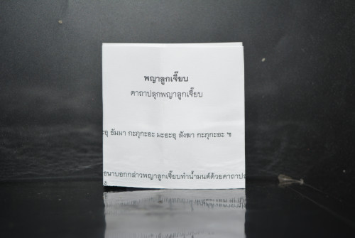 พญาลูกเจี๊ยบ เนื้อชนวน พระครูปืน วัดลาดชะโด 2568 4
