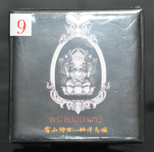 พระแม่อุมาเทวี เนื้อบรอนซ์ชุบเงิน หลวงปู่ยูร วัดหนองป่าหมาก 2568 3